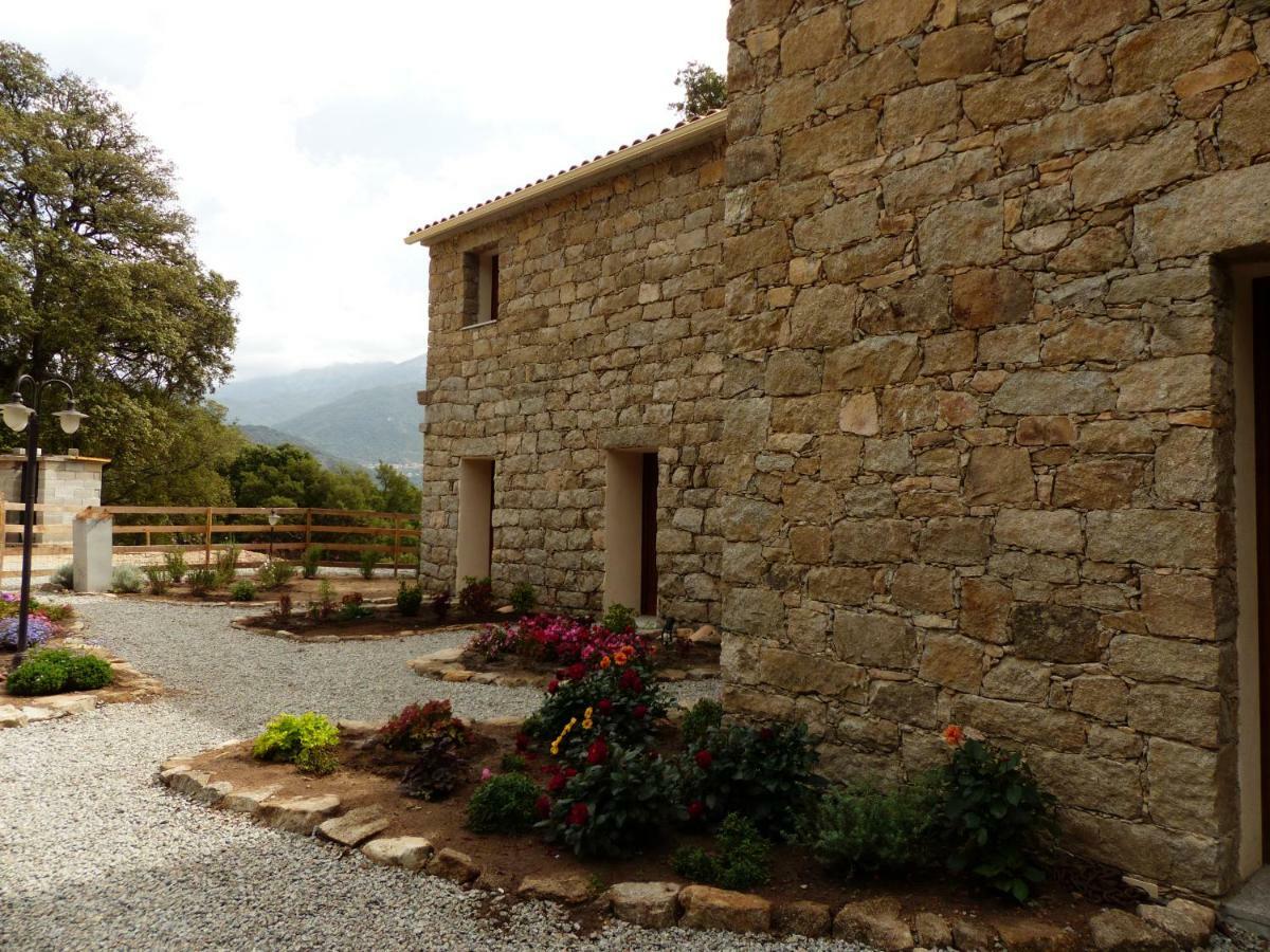 Maison D'hotes Zella Bed and breakfast Bains de Guitera